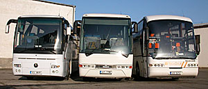 Zichabus